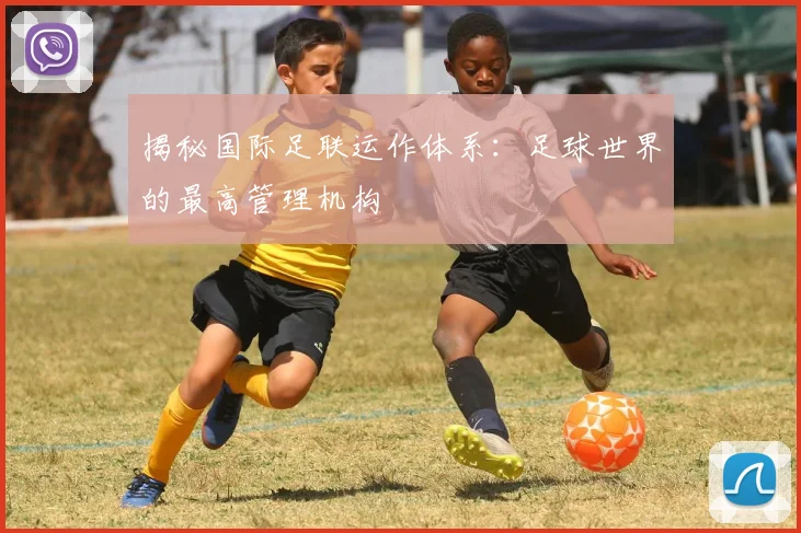 揭秘国际足联运作体系:足球世界的最高管理机构